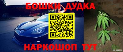 прущие грибы Кунгур