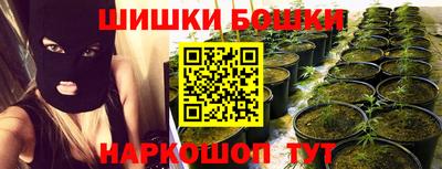 прущие грибы Кунгур