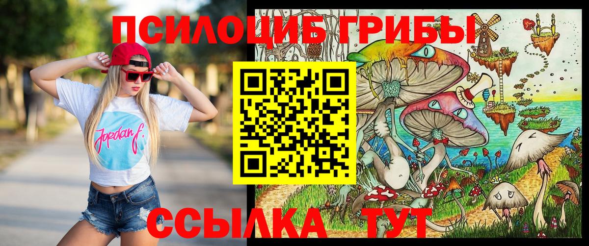 Шебекино  Псилоцибиновые грибы прущие грибы  Вход с VPN 